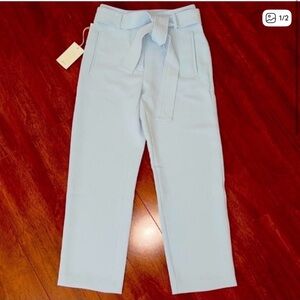 Aritzia Wilfred Tie Front Pants